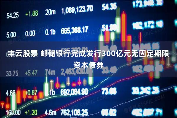 丰云股票 邮储银行完成发行300亿元无固定期限资本债券
