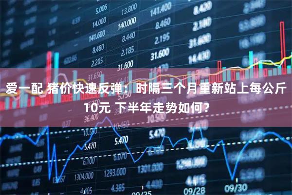 爱一配 猪价快速反弹：时隔三个月重新站上每公斤10元 下半年走势如何？