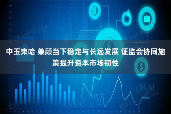 中玉束哈 兼顾当下稳定与长远发展 证监会协同施策提升资本市场韧性
