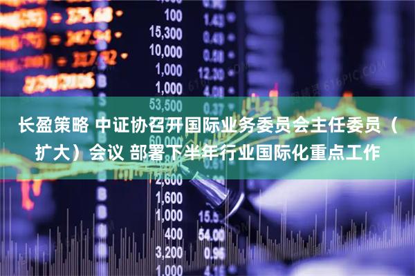 长盈策略 中证协召开国际业务委员会主任委员（扩大）会议 部署下半年行业国际化重点工作