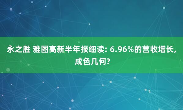 永之胜 雅图高新半年报细读: 6.96%的营收增长, 成色几何?